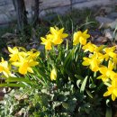 보현산식당 이미지