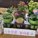 상일꽃농원