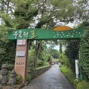 볕이드는곳벧디 | 제주공항근처 카페 한라산수목원 볕이드는곳벧디 방문 후기