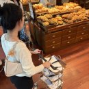 다함엑스포 | [효징이 여행]성심당 가려고 다녀온 대전 1박2일(2026.07.19-20)