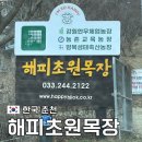 춘천 관광지 당일치기 갈만한 곳 해피 초원 목장 흐린 날 방문