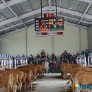 경북한우축산조합 이미지