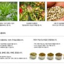 토종농산 이미지