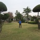 삽교시장 이미지