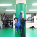 비호 합기도 이미지