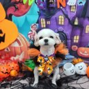 광명8차아파트 이미지