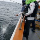 대붕펜션 이미지