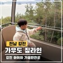 전남 강진가볼만한곳 가우도 모노레일 짚트랙 체험 후기