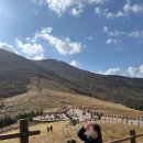 영남목장 이미지