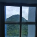 백산아파트 앞 이미지