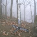 전북인삼협동조합 이미지