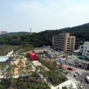 남산 이미지