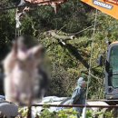 유연농장 이미지