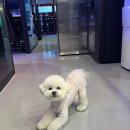 폴스타PC방 가양점 이미지