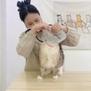 재이미 이미지