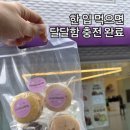 카롱 | 강릉 마카롱 맛집, 맘스카롱 방문 후기