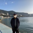 덕포 펭귄 이미지