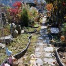 반려동물과 가기 좋은 가을 정원 이미지