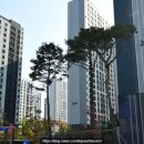 고산수자인디에스티지2단지아파트