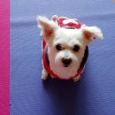 황금누리동물병원 이미지