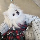 소소양품점 이미지
