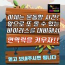 충효태권도체육관 이미지