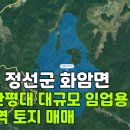 정선공인중개사사무소 이미지