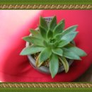 보람의 집 이미지