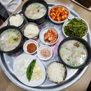 마산 교방동 맛집 삼영식당 소문난돼지국밥 후기