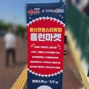 S마켓(시영점) | 20260516 삼성라이온즈 퓨처스 원정(v.s.울산웨일즈) 일상 | 문수야구장 중앙탁자석 후기