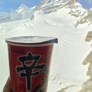 (주)동신교통 | 스위스 융프라우 VIP 패스 구매 방법 (동신항운 할인)