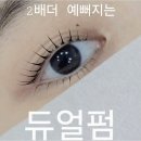 오늘,속눈썹