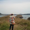 뿌리게스트하우스 이미지