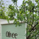 불국사 대원천 사우나 이미지