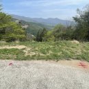 밤재 등산로 이미지