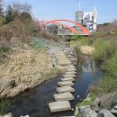 수원팔색길 여우길 이미지