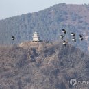물새