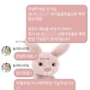 놀러와 | 가성비 본식스냅 놀러와스타일 예약후기 짝꿍할인 (feat.상록아트홀)