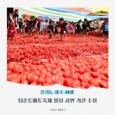 수박&토마토 축제 이미지
