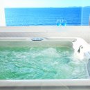 아리펜션 이미지