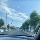 고모네통닭 이미지