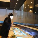 마체통 이미지