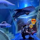 기린종합건설(주) | 푸꾸옥 빈펄 사파리 동물원 + 먹이주기 체험 후기 | 5일차 (2025)