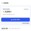 세이프닥