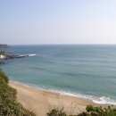 제주도 푸른밤 이미지