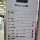 명동만두 | 명동 맛집 딤딤섬 가성비 만두 후기