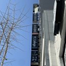 YC메디칼 이미지