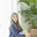 진솔 이미지