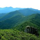 지리산천왕봉의집 Daum카페