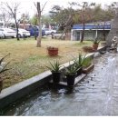 비비헤어비스 이미지